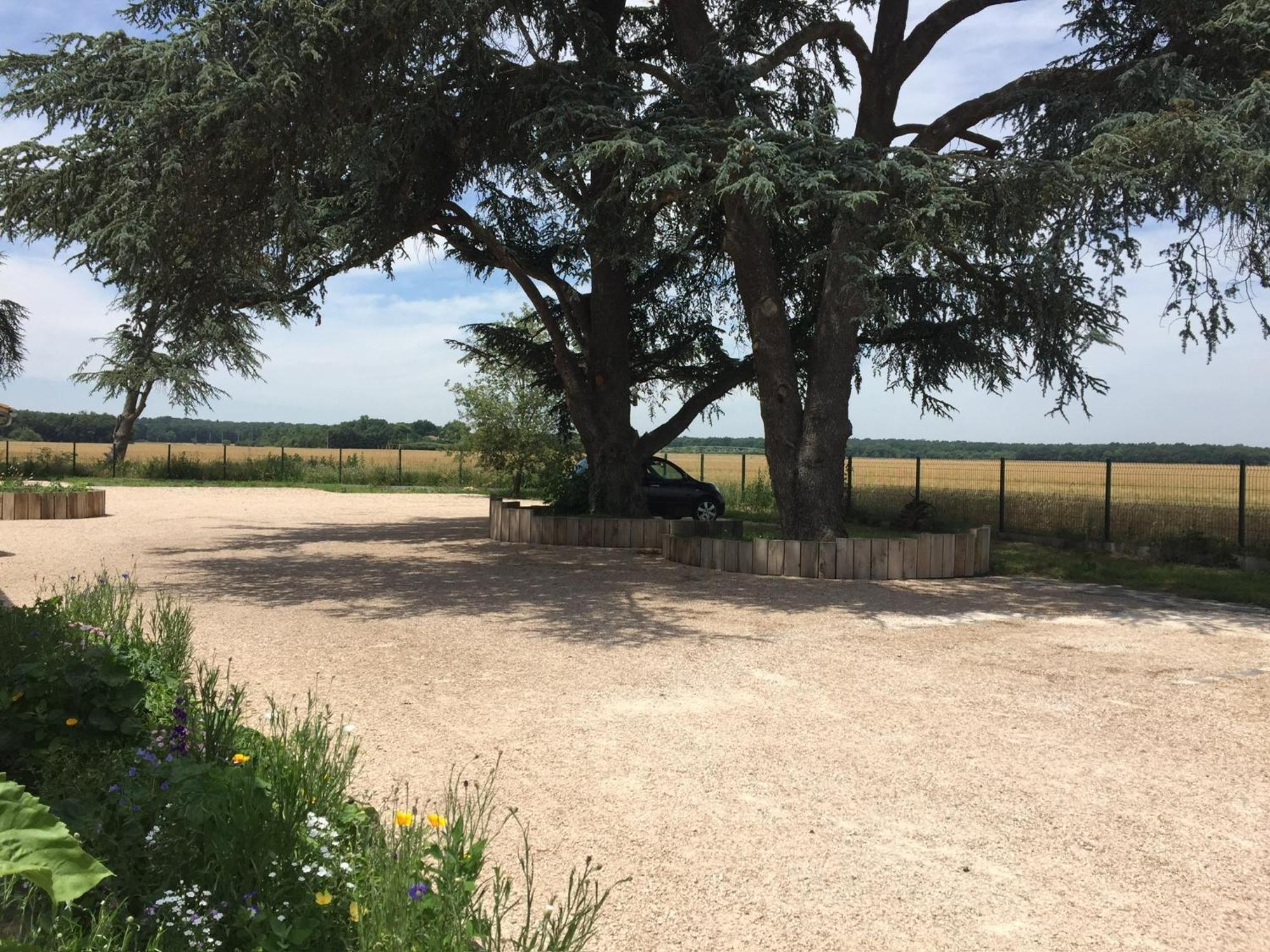 La Garoffe Bed & Breakfast Pibrac Dış mekan fotoğraf